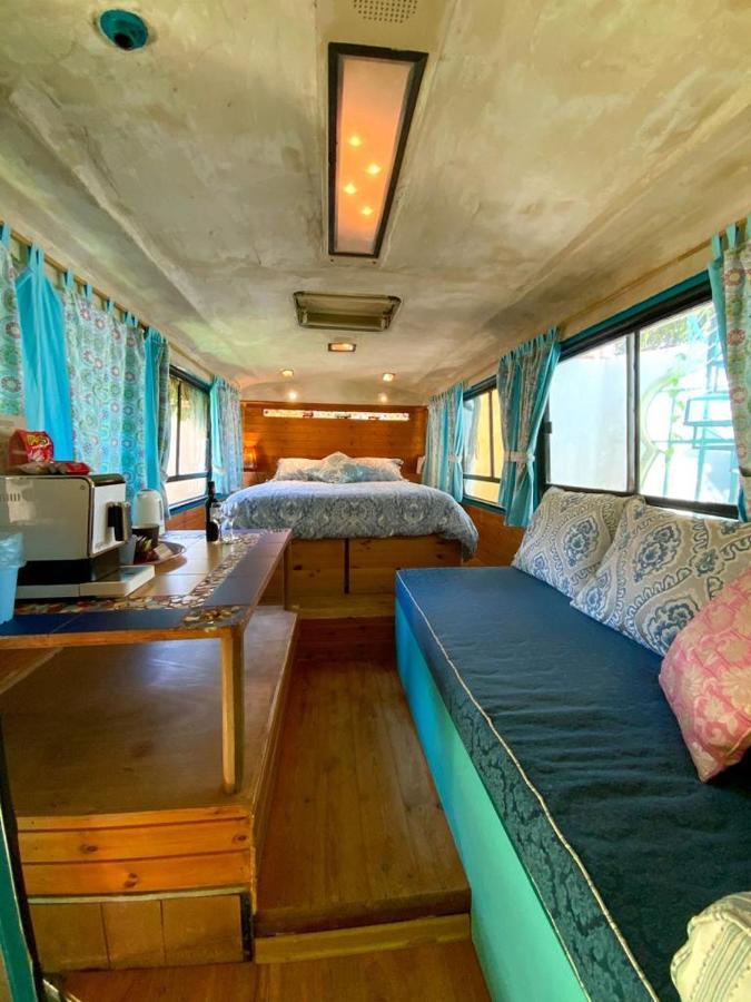 Zimmerbus 'Ezuz Екстериор снимка